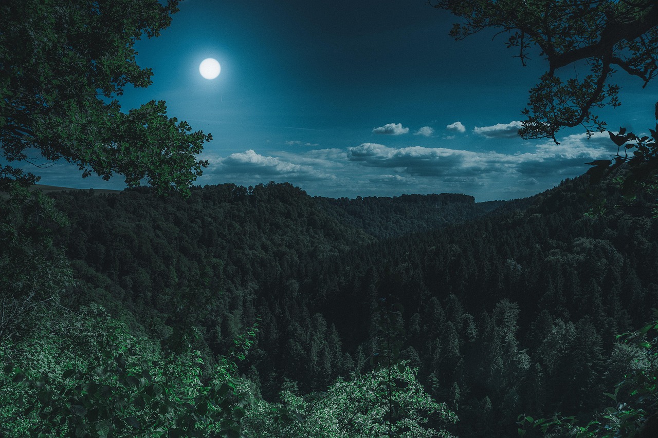 Paisaje